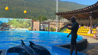 «Такого хамства к русским я нигде не встречала»: Туристка вернулась разочарованной из отпуска в Абхазии – что не так