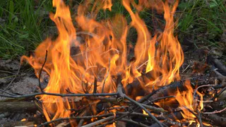 В Министерстве природопользования напомнили о правилах пожарной безопастности