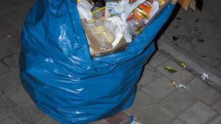 На Ряжском шоссе остановка зарастает мусором