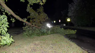 Коммунальщикам прибавилось работы: после ливней затопило Новомичуринск