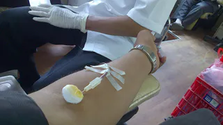 В Брянской области новым донорам присвоили звание «Почётный донор России»