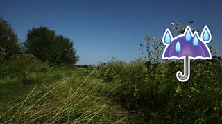 Погода на выходные: воздух прогреется до +33 градусов