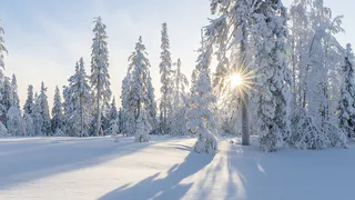 Из-за аномальных морозов в Пензенской области объявили оранжевый уровень опасности