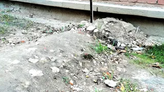 Места на кладбище нынче дорогие: на улице Маяковского кто-то сделал захоронение