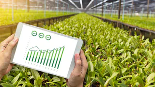 Центр развития финансовых технологий РСХБ оценил объем данных, которые необходимо будет хранить при переходе АПК на технологии искусственного интеллекта