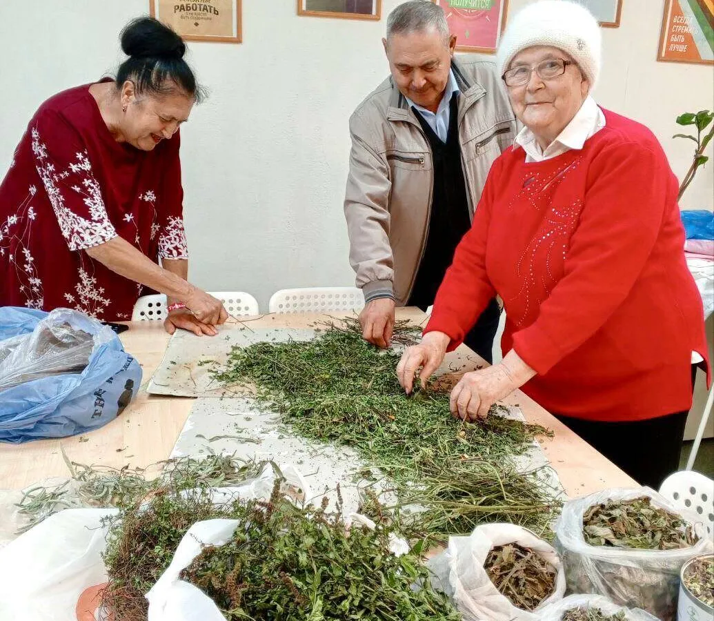 Нижнекамские активисты собирают душистые травы для чая военнослужащим СВО