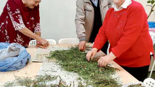 Нижнекамские активисты собирают душистые травы для чая военнослужащим СВО