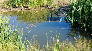 В Брянске возле распиаренного дворца единоборств образовалась грязная не засыхающая лужа