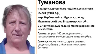 В Муроме разыскивают 65-летнюю женщину нуждающуюся в медицинской помощи