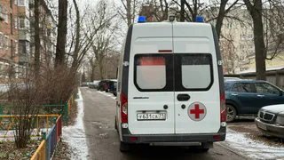 Водителя, протаранившего тепловоз, санавиацией доставили в областную больницу Рязани