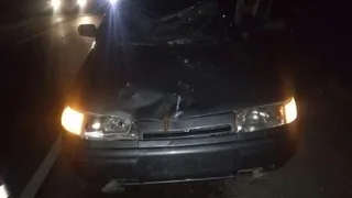 Появились новые подробности ДТП в Путятинском районе: водитель "десятки" сбил велосипедиста