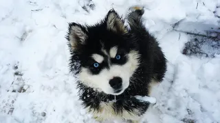 Instagram-подборка: как рязанцы встретили первый снег