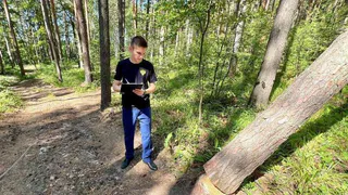 Двум парням в Чувашии придется заплатить штраф в 40 тысяч за незаконную вырубку двух сосен