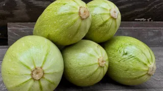Рецепты из кабачков на зиму: простые и вкусные заготовки