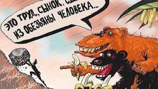 Брянских чиновников назвали нелюдями