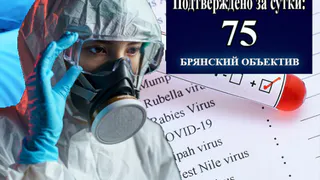 В Брянской области за сутки выявлены 75 новых носителя коронавируса