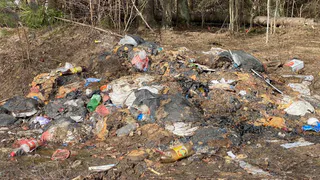 Минлесхоз игнорировал опасную свалку трупов животных в Александровском районе