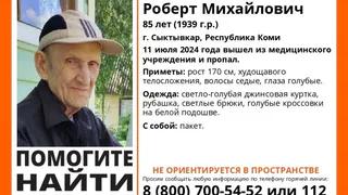 В Коми без вести пропал 85-летний мужчина