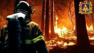 В Брянской области за сутки было зарегистрировано 4 пожара