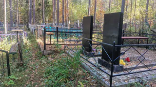 В Коми часть лестных земель хотят отдать под кладбища