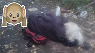 Мусорный конфликт: рязанца чуть не избили в ЖЭУ?