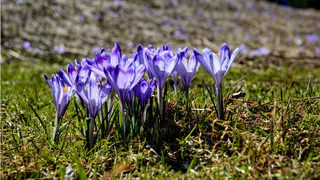 Аномальная жара ожидается в первых числах марта: лето придет на два месяца раньше