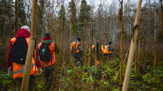 Статистика поисковых октябрьских операций в Коми: в "ЛизаАлерт" нашли 26 человек