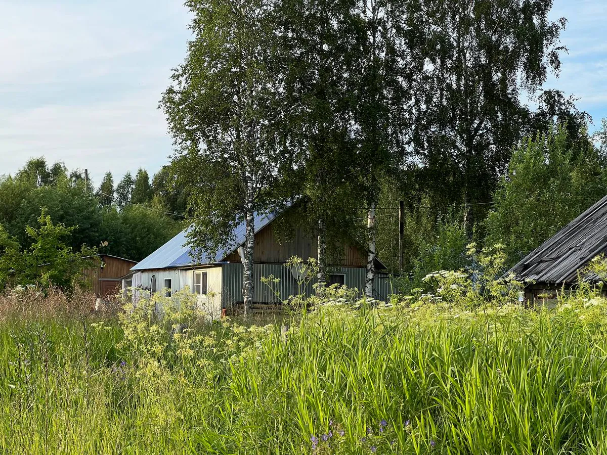 Ботаники назвали 7 самых опасных растений, к которым лучше не подходить