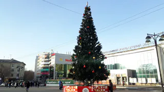 Открытие новогодней столицы начнется с парада Дедов Морозов