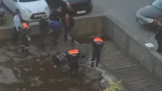 В фонтане на улице Фирсова в Рязани был обнаружен труп мужчины