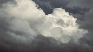 21 июня в Коми погода готовит утренние туманы и потепление на юге