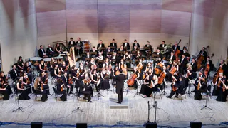 Химия искусства: для нижнекамцев выступит знаменитый оркестр 