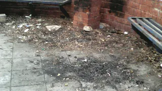 Нижнекамцы жалуются на то, что за родником на Лесной никто не следит