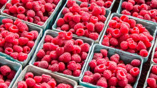 Музей-заповедник в Константиново присоединится к фестивалю малины