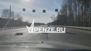 В Нижнеломовском районе погиб 43-летний водитель иномарки