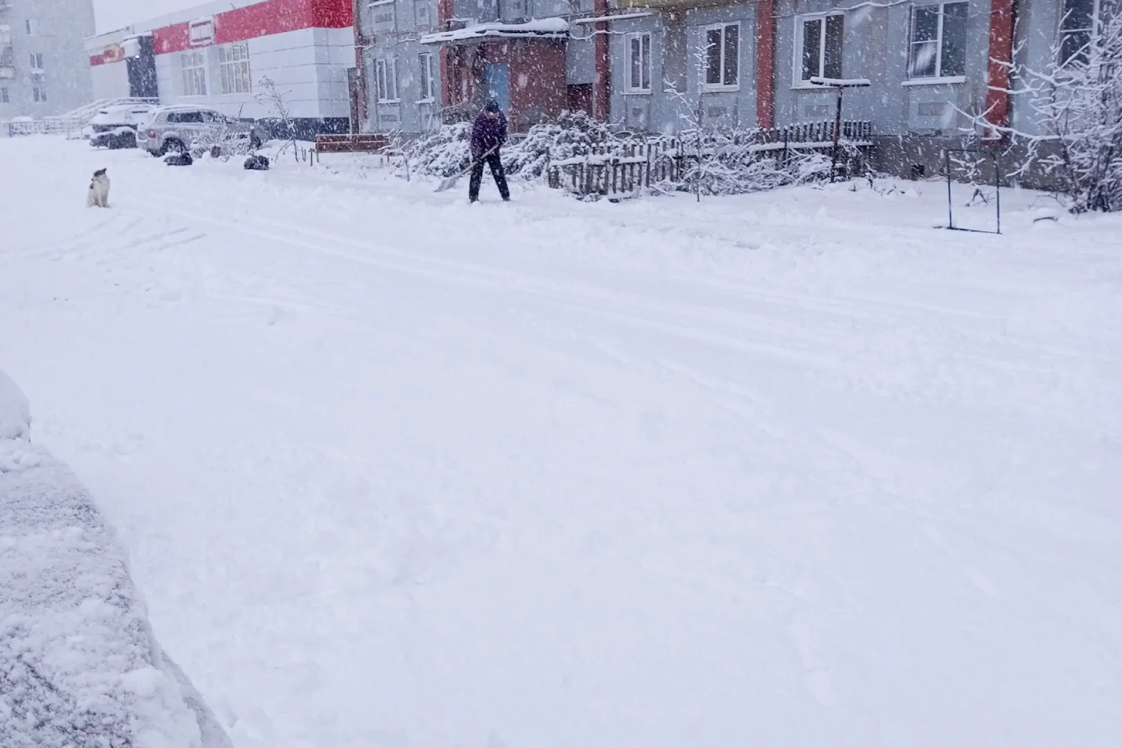 В Коми запускаются вертолетные маршруты по городам республики