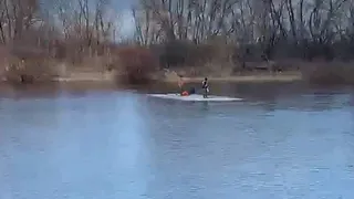Дед Мазай и зайцы: двое рязанцев проплыли по Оке на льдине