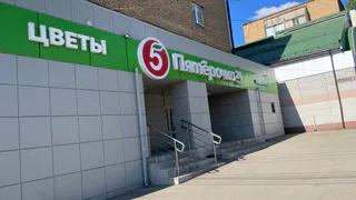 «Не вздумайте там что-то брать»: Роскачество предупредило всех, кто ходит закупаться в «Магнит», «Пятерочку» и «Ашан»