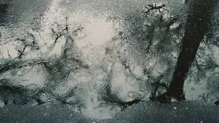 О погоде в Рязани - новая рабочая неделя будет теплой и дождливой