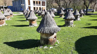 Антиоксиданты, полифенолы: чем полезен мед?