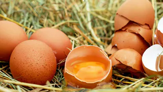 Смешиваем 2 гр. с зерном — и курицы несутся, не переставая: собираю яйца размером с кулак