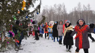 Приток новогодних туристов в Рязанской области увеличился на треть