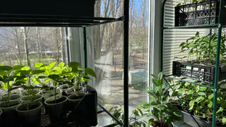 Вот как я выбираю землю для зимних горшков — чтобы растения пышно росли и не болели