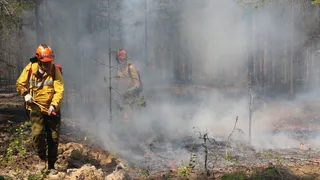 Коми получит миллионы рублей из федерального резерва на борьбу с лесными пожарами