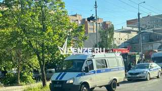 Пензенцев стали меньше грабить и обманывать мошенники