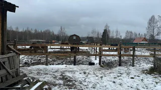 В Киржачском районе ребёнок получил травмы на конной прогулке