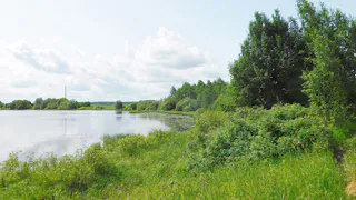 В Коми 3 августа сохранится жаркая и засушливая погода