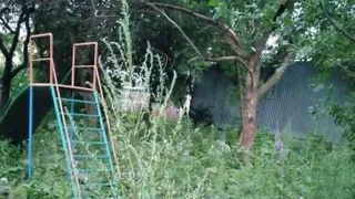 “Где играть детям?”: в Дашках закидали мусором и без того заросшую бурьяном детскую площадку