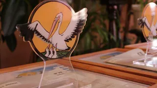 Во Владимирской области 29 лучших преподавателей поборются за титул «Педагог года - 2025»