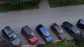 Прямо в городе: на 2-й Линии неизвестные стреляют в собак